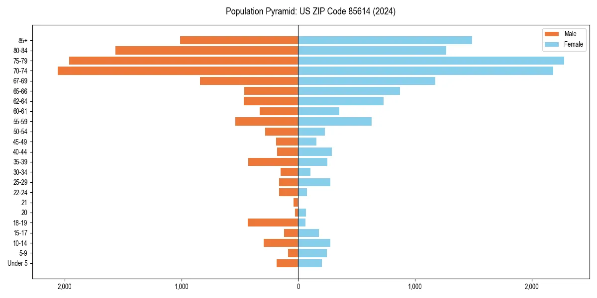 Population pyramid for 