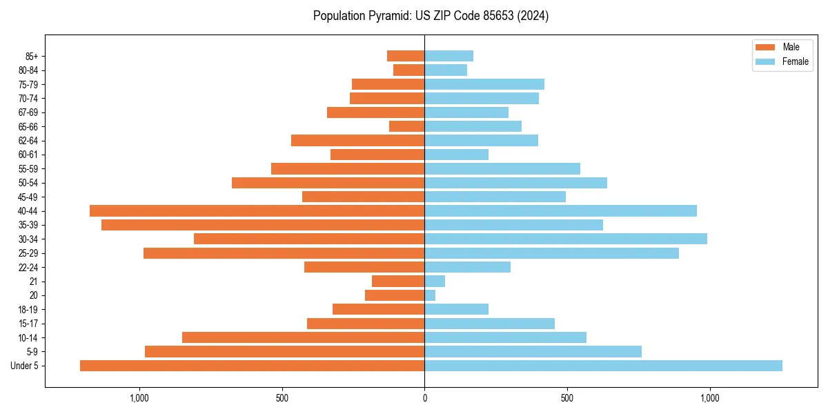 Population pyramid for 