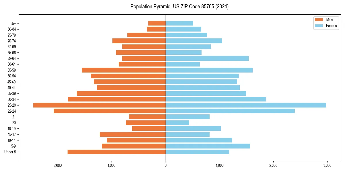 Population pyramid for 