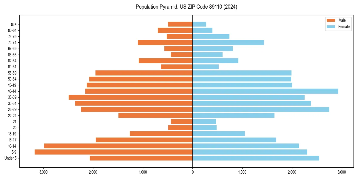 Population pyramid for 