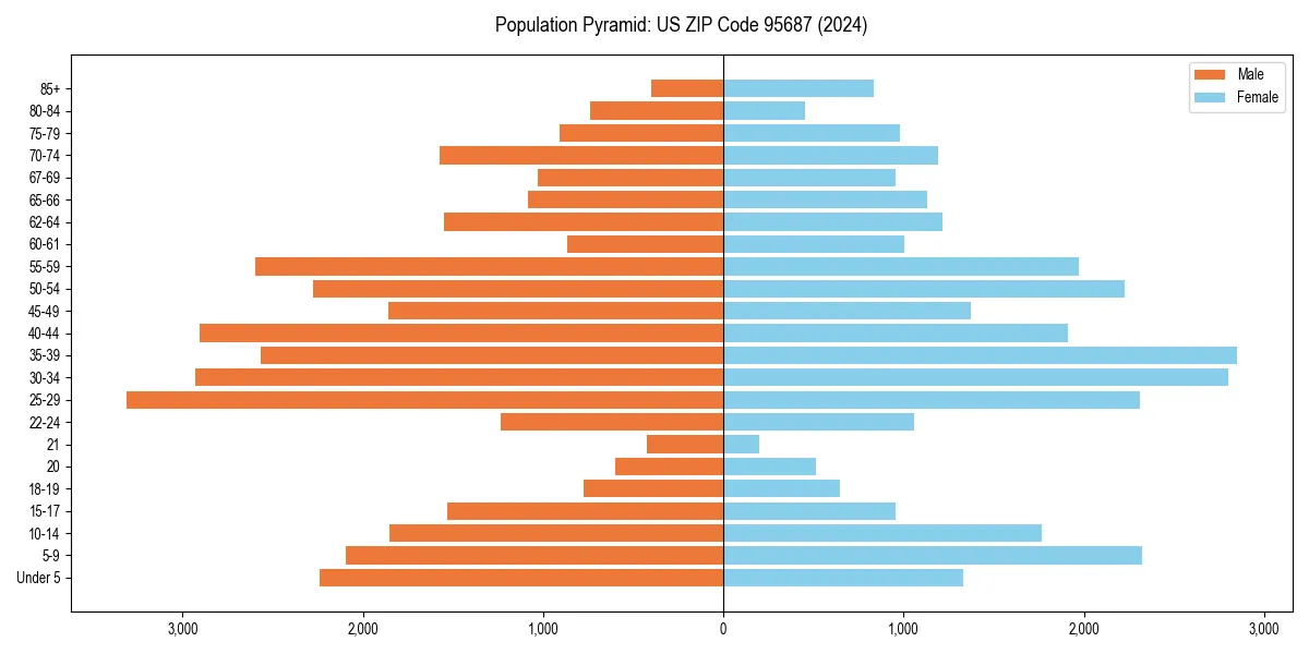 Population pyramid for 