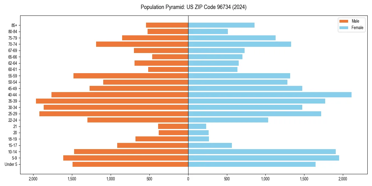 Population pyramid for 