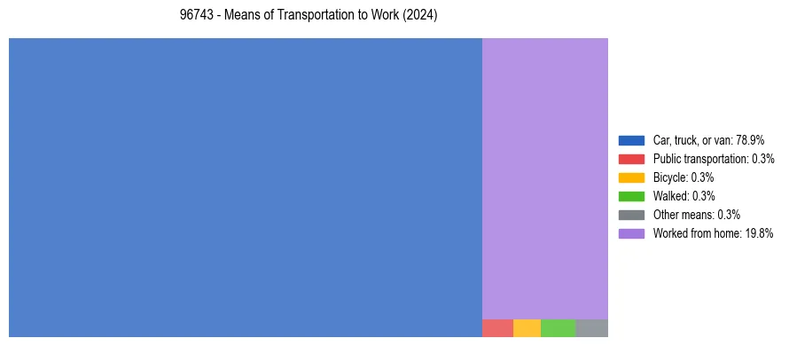 Commute modes in US ZIP Code 96743