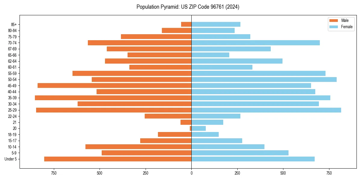 Population pyramid for 