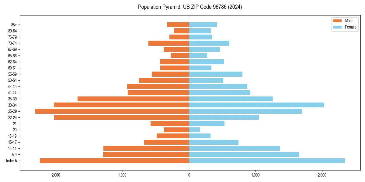 Population pyramid for 