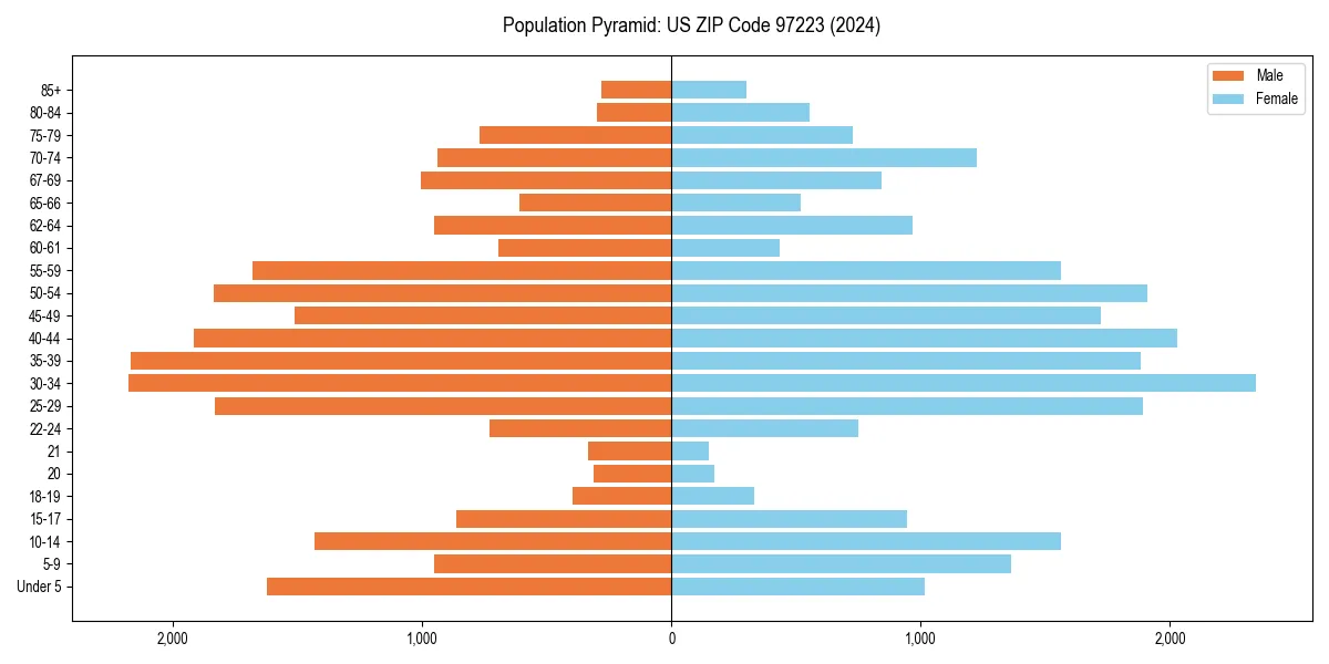 Population pyramid for 