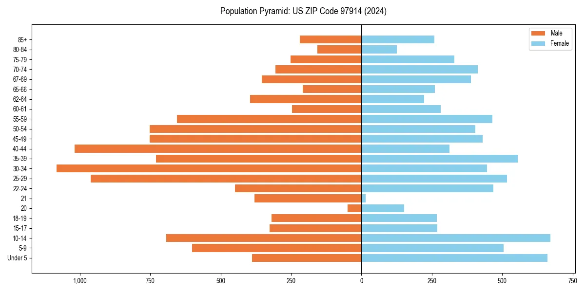 Population pyramid for 
