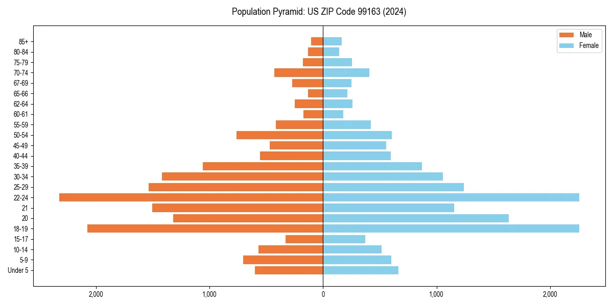 Population pyramid for 