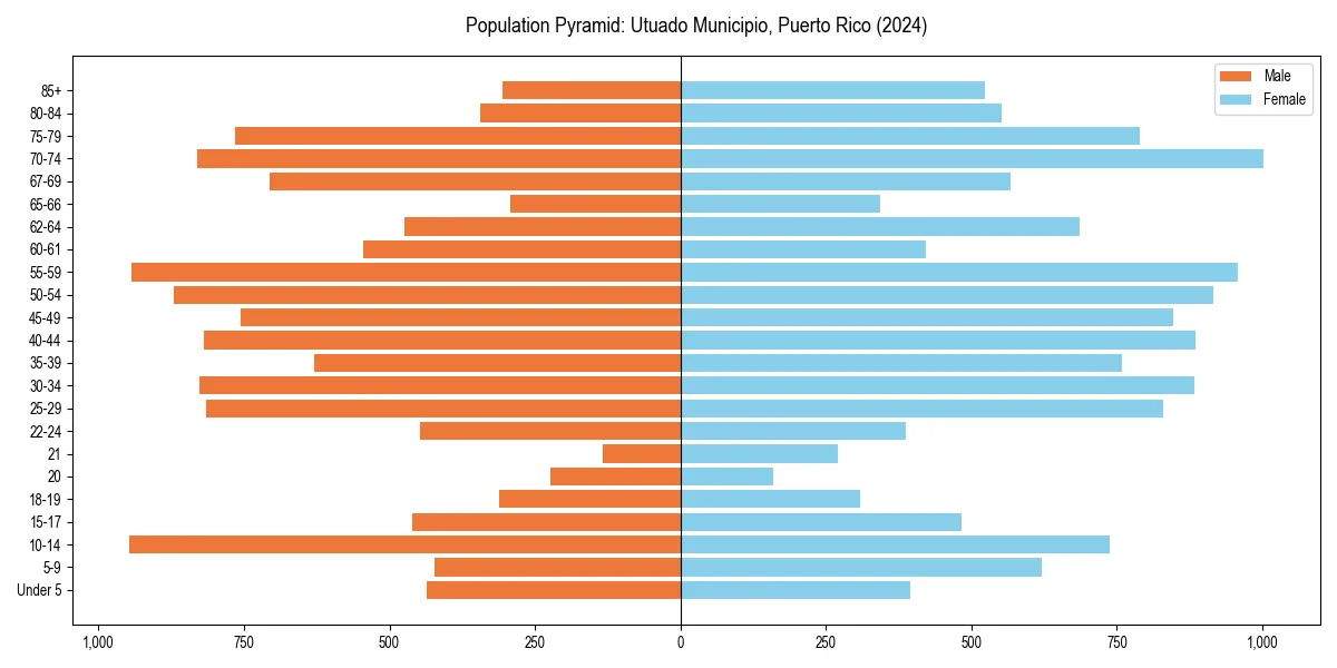 Population pyramid for 