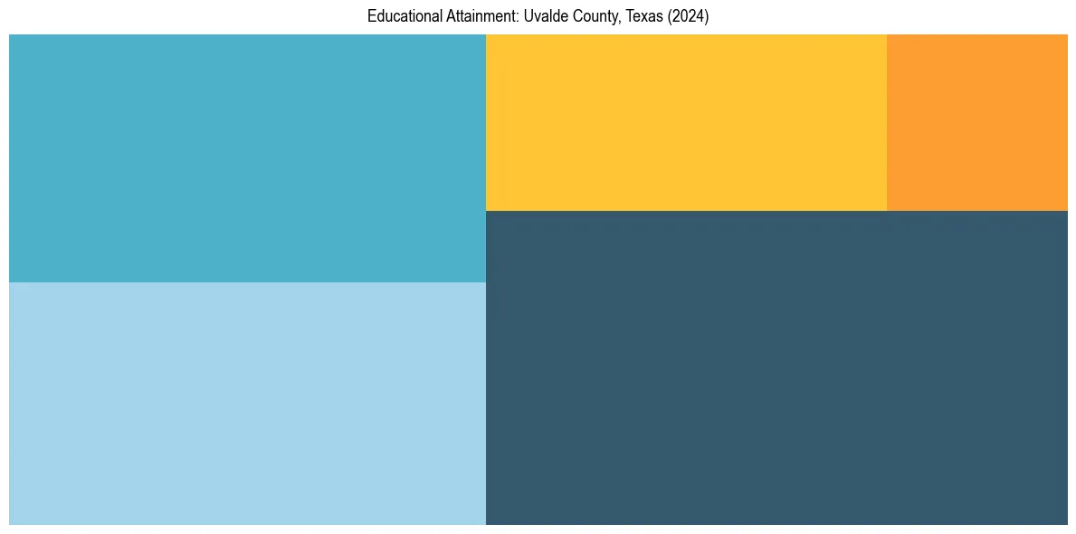 Education Treemap for  in 2024