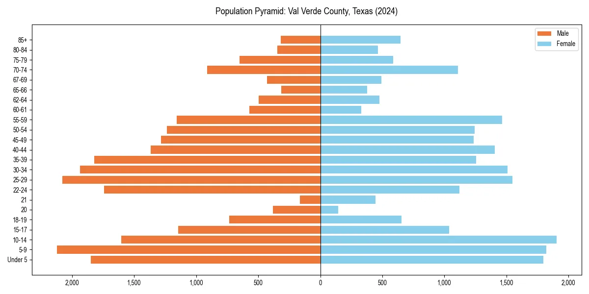 Population pyramid for 