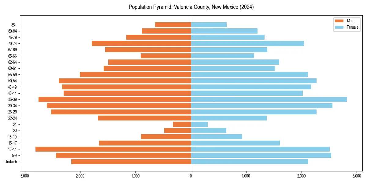Population pyramid for 
