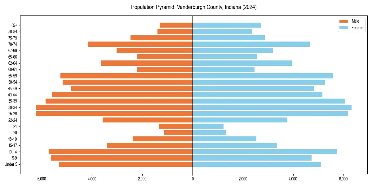 Population pyramid for 