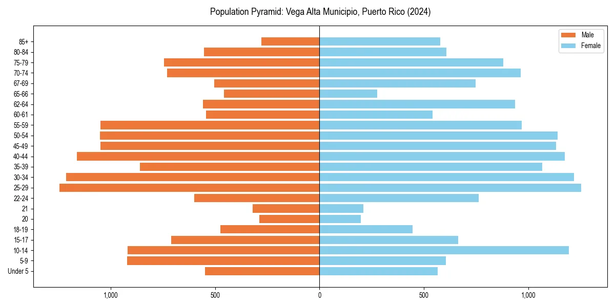 Population pyramid for 