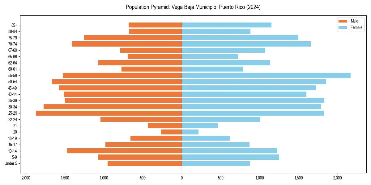 Population pyramid for 