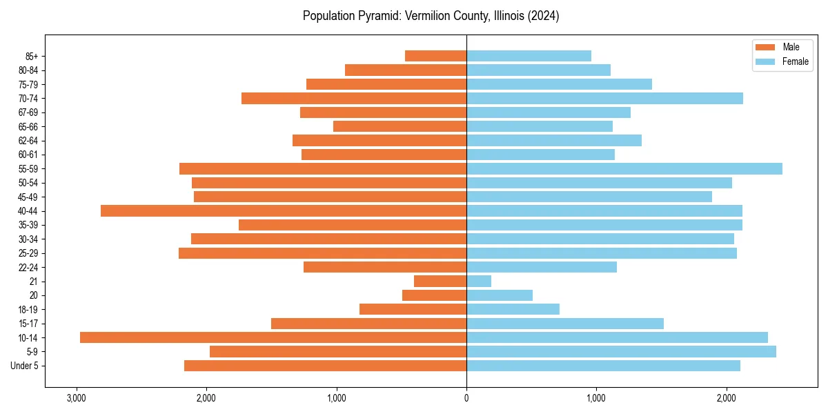 Population pyramid for 