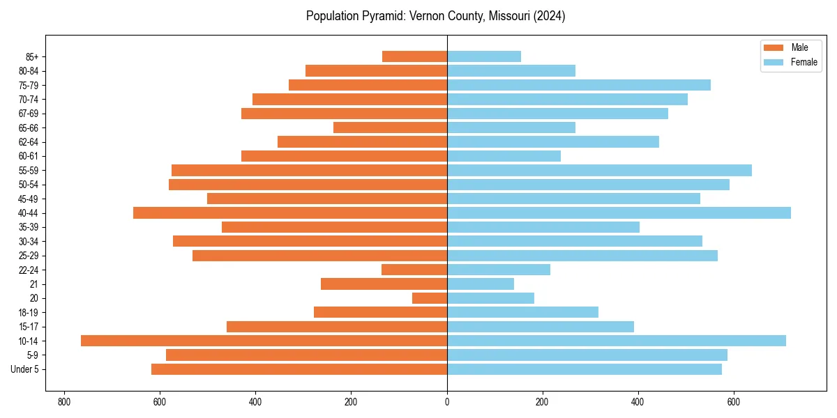 Population pyramid for 
