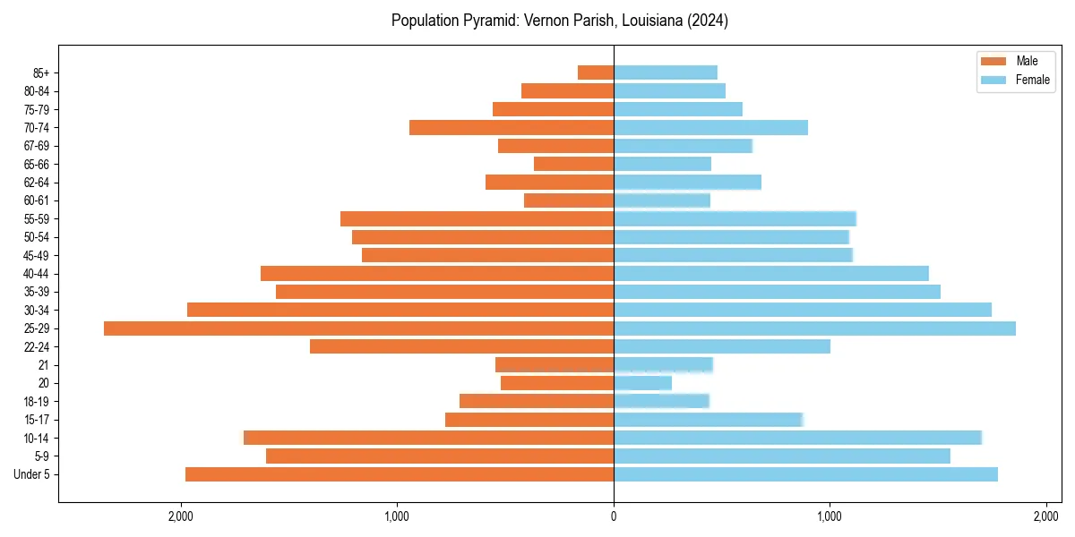 Population pyramid for 