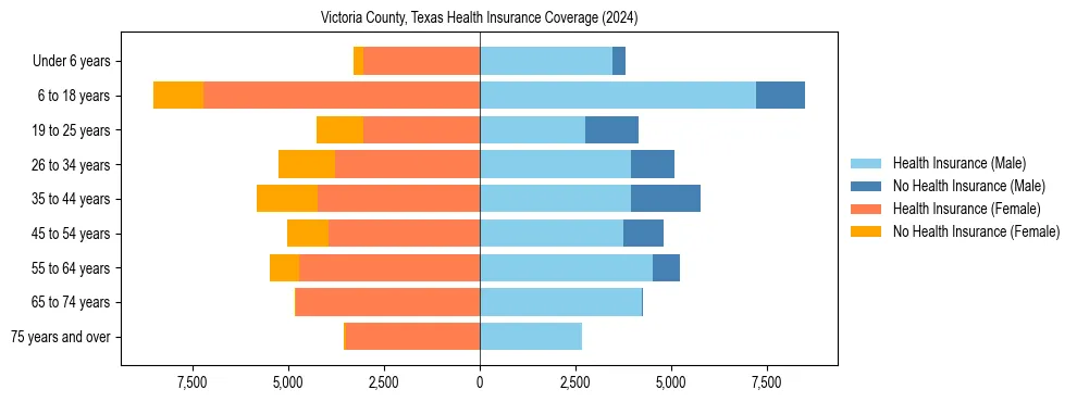 Health insurance pyramid for Victoria County, Texas