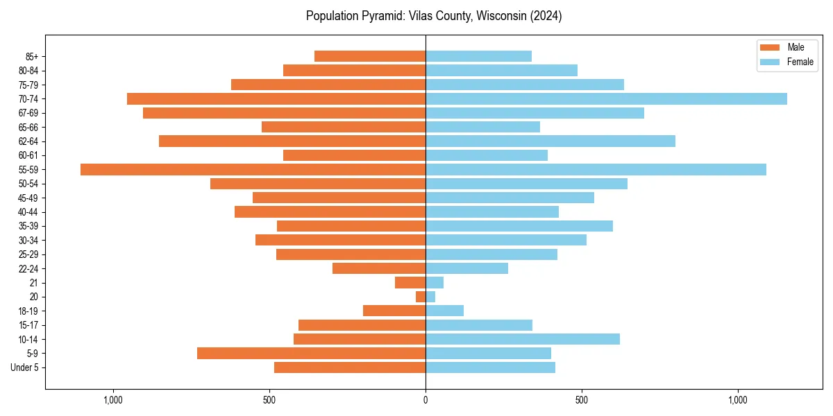 Population pyramid for 