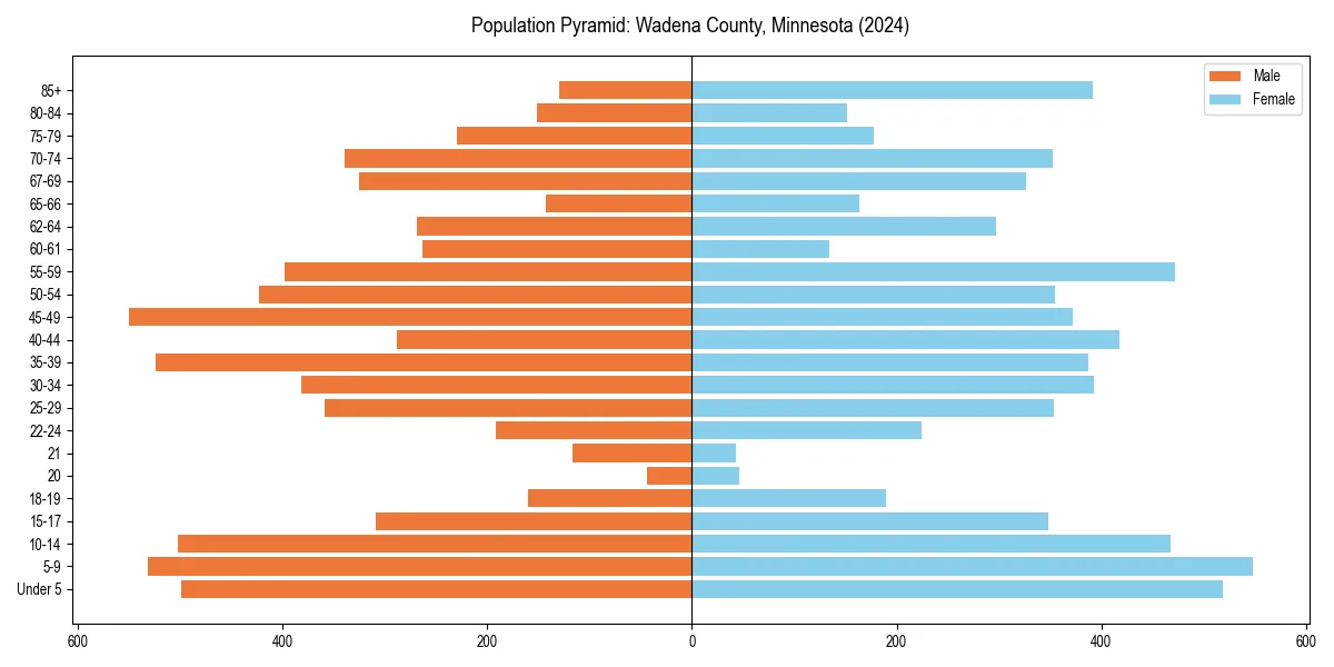Population pyramid for 