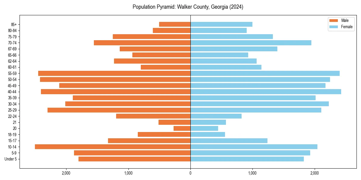 Population pyramid for 