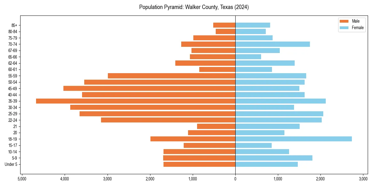 Population pyramid for 