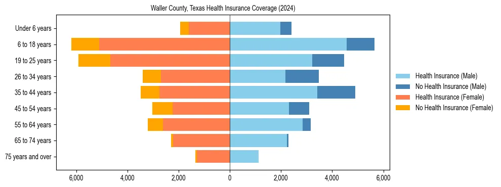 Health insurance pyramid for Waller County, Texas