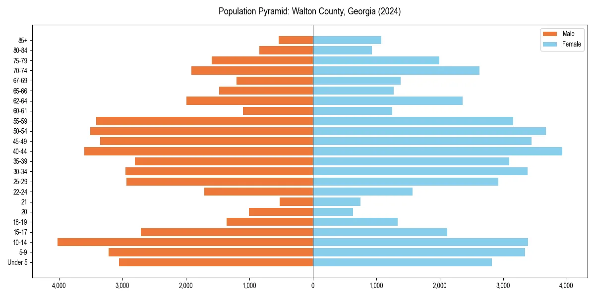 Population pyramid for 