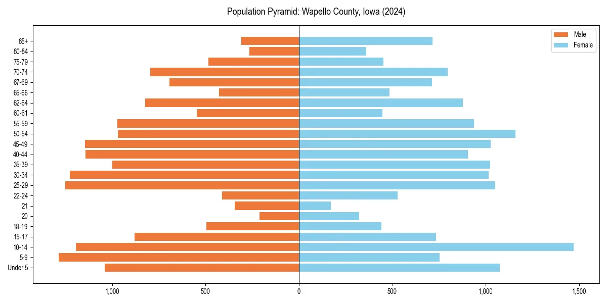 Population pyramid for 