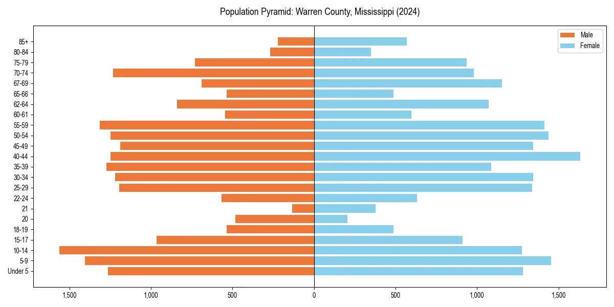 Population pyramid for 