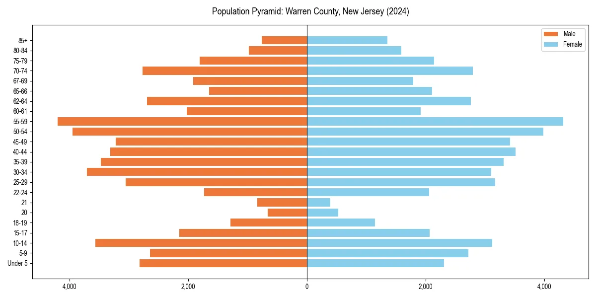 Population pyramid for 