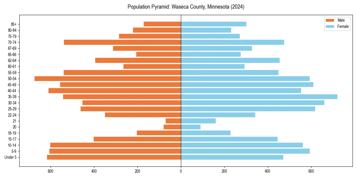 Population pyramid for 