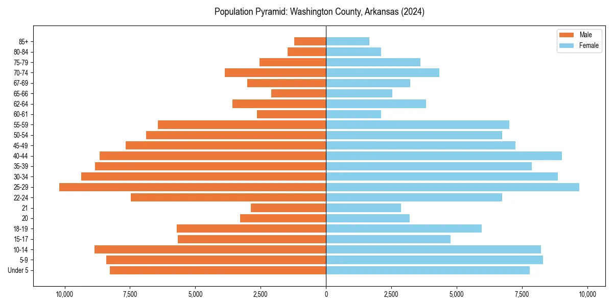 Population pyramid for 
