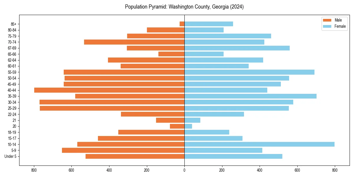 Population pyramid for 