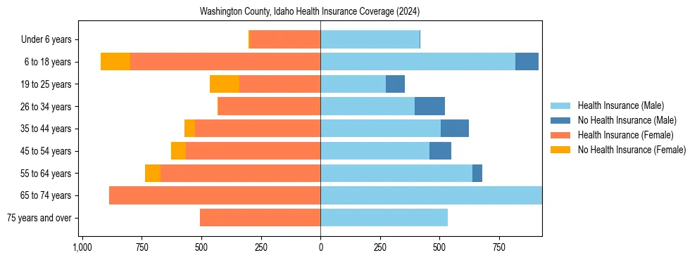 Health insurance pyramid for Washington County, Idaho