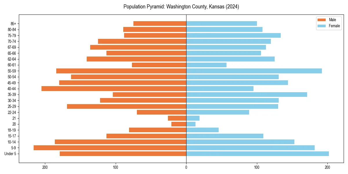 Population pyramid for 