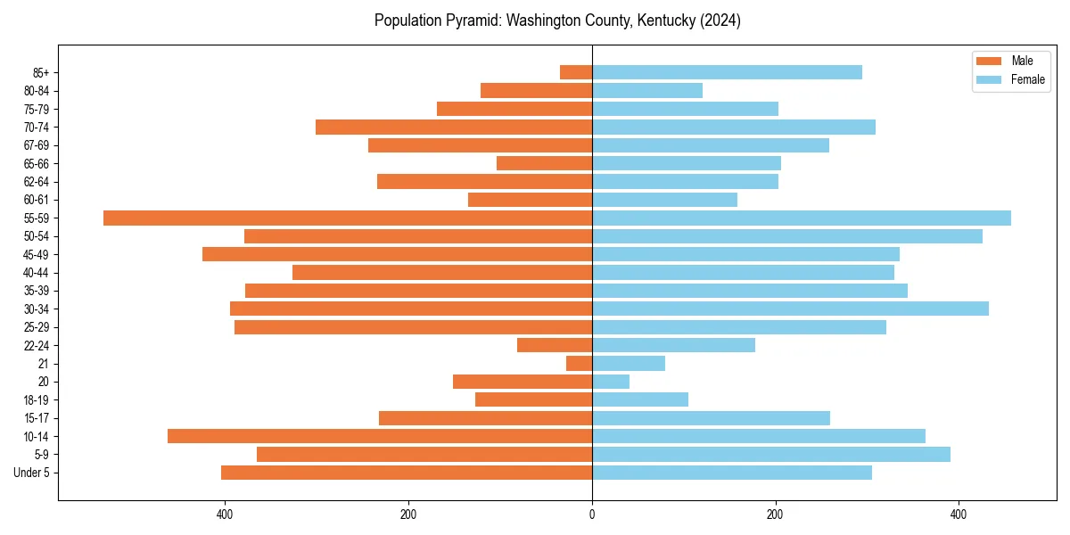Population pyramid for 