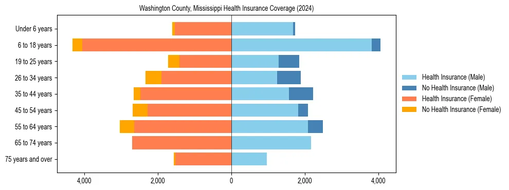 Health insurance pyramid for Washington County, Mississippi