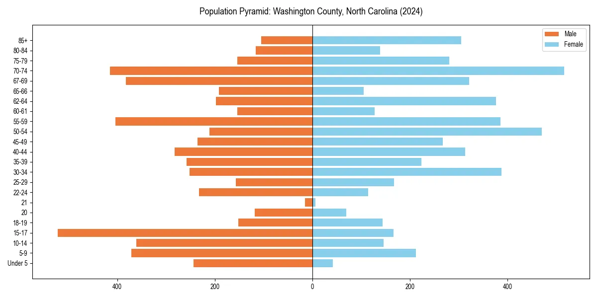 Population pyramid for 
