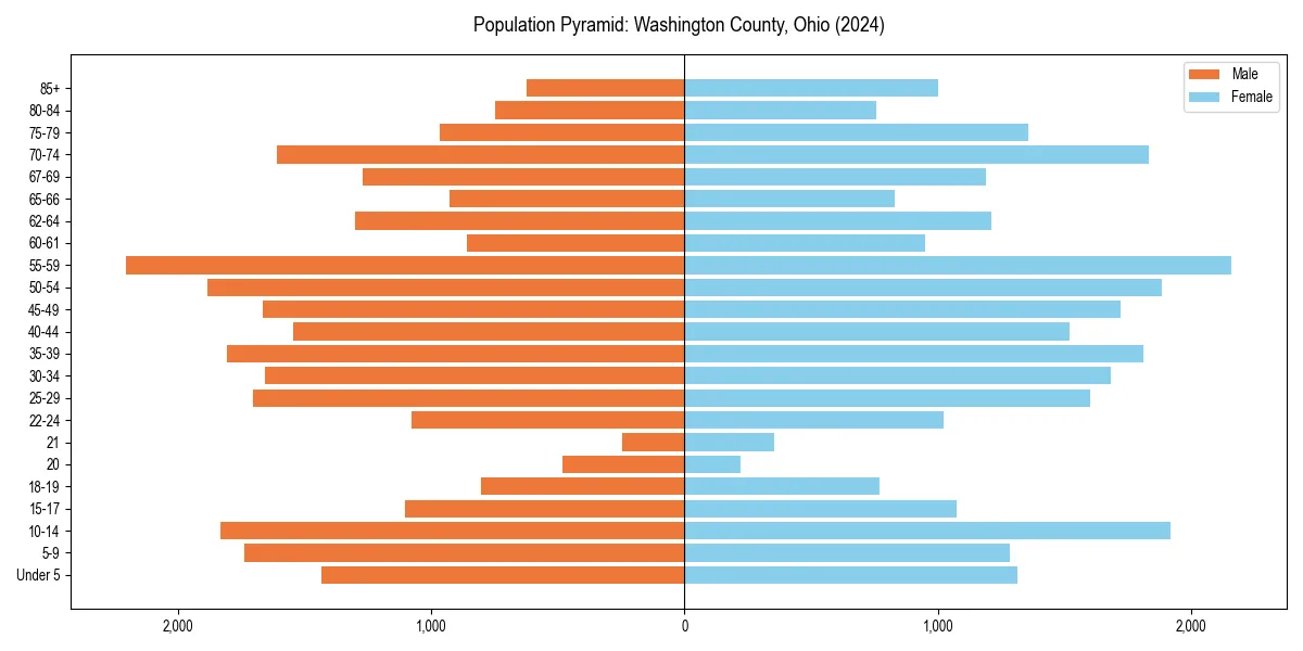 Population pyramid for 