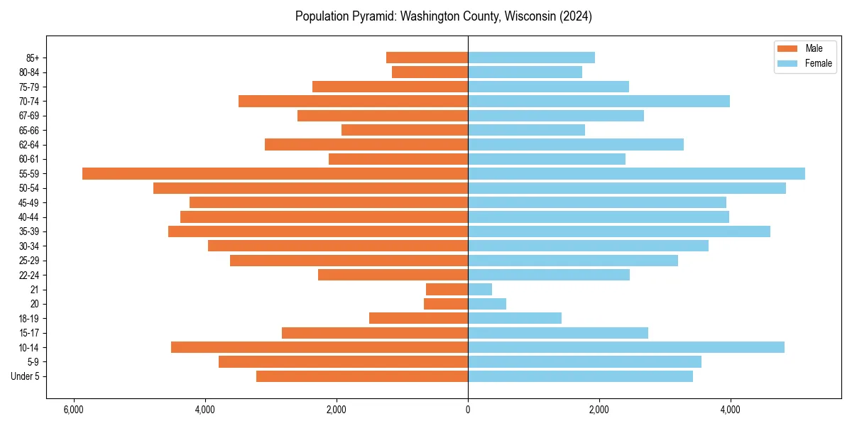 Population pyramid for 