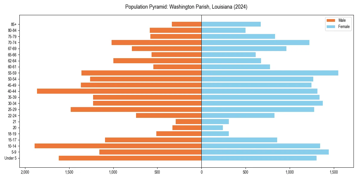 Population pyramid for 