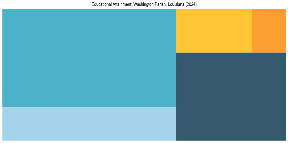 Education Treemap for  in 2024