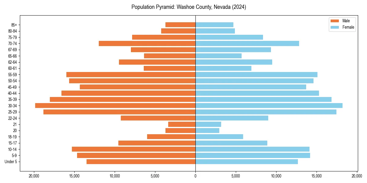 Population pyramid for 