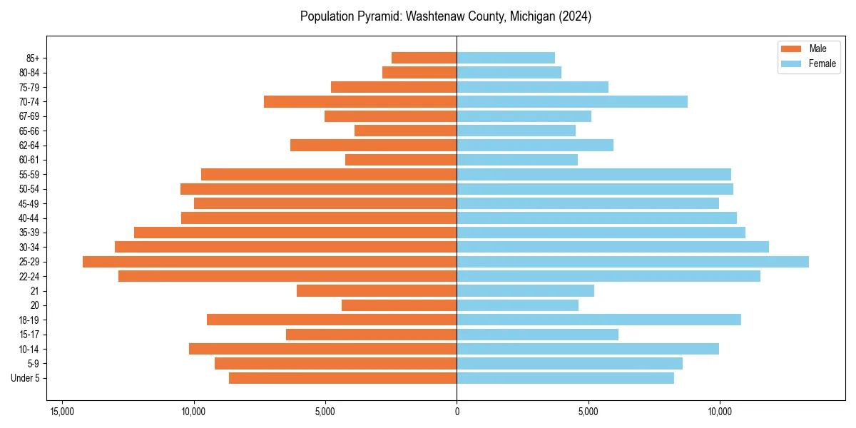 Population pyramid for 
