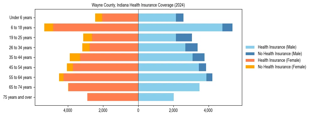 Health insurance pyramid for Wayne County, Indiana
