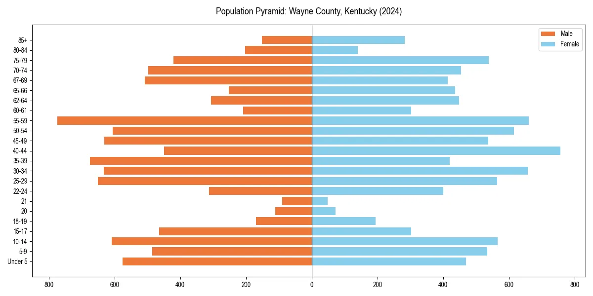Population pyramid for 