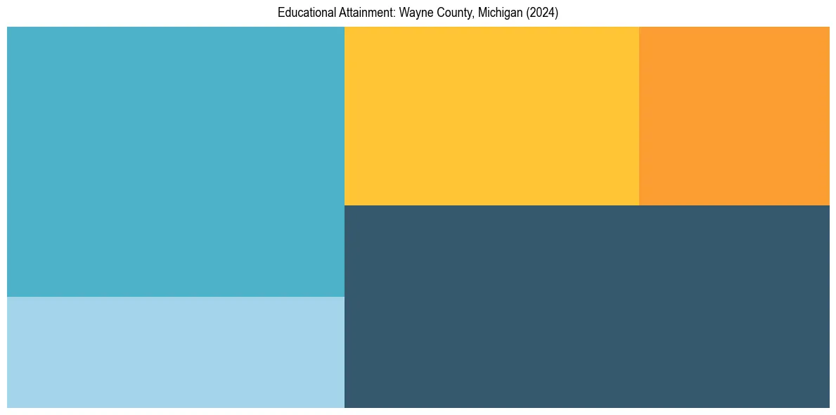 Education Treemap for  in 2024