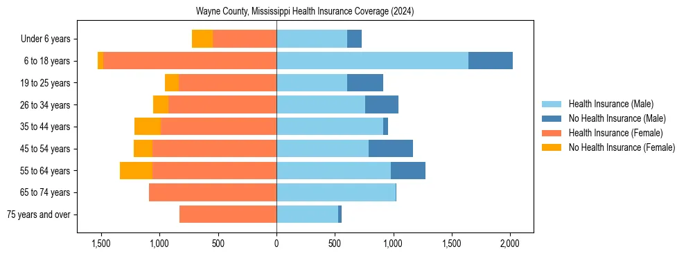 Health insurance pyramid for Wayne County, Mississippi